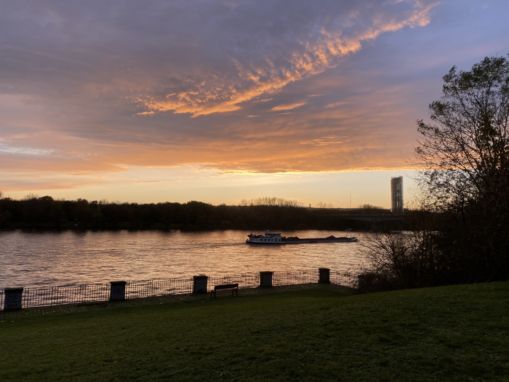 2023-11-09 Rhein 0030 k.JPG